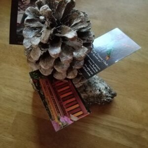 Business Card Holder-uniquely made with Ca. pine cones and driftwood-sizes vary