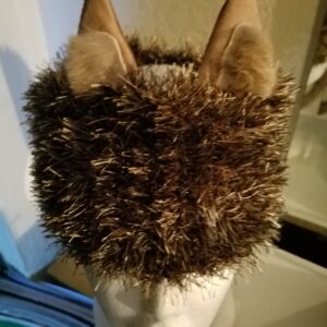 "Ears To Ya!"-Ear Warmer