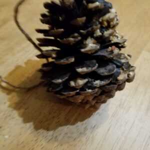 "Unique Bird Feeder-(Comes in Various Sizes)