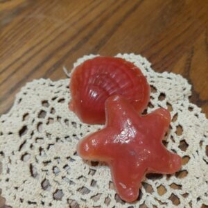 Realistic sea shells in soap form
