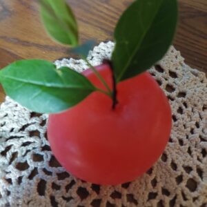 Apple soap looks so realistic!!