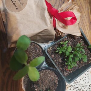 Neverland nursery is now open for business!