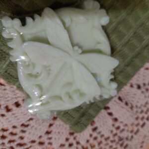 Dragonfly a' flying...bug off mosquito repellent soap