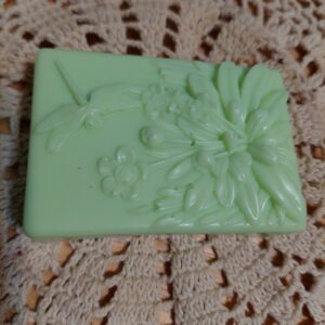 Small flying dragonfly in the garden (bug off mosquito repellent soap)